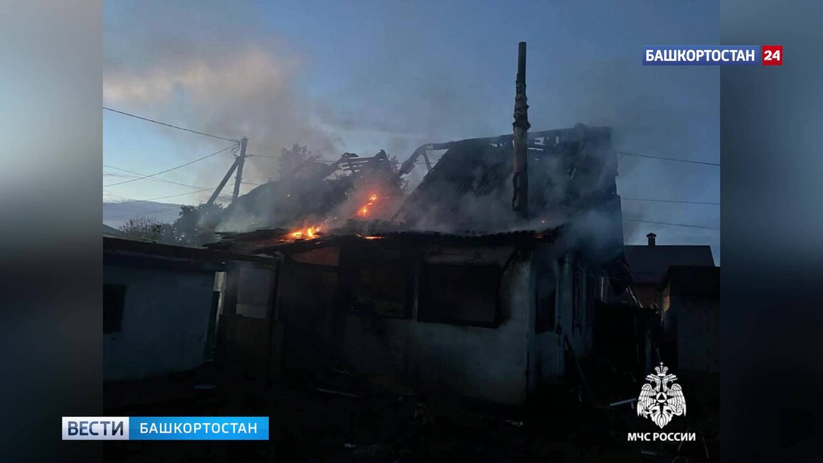    В башкирском Нефтекамске пожарные вытащили из огня домашних питомцев и реанимировали кота