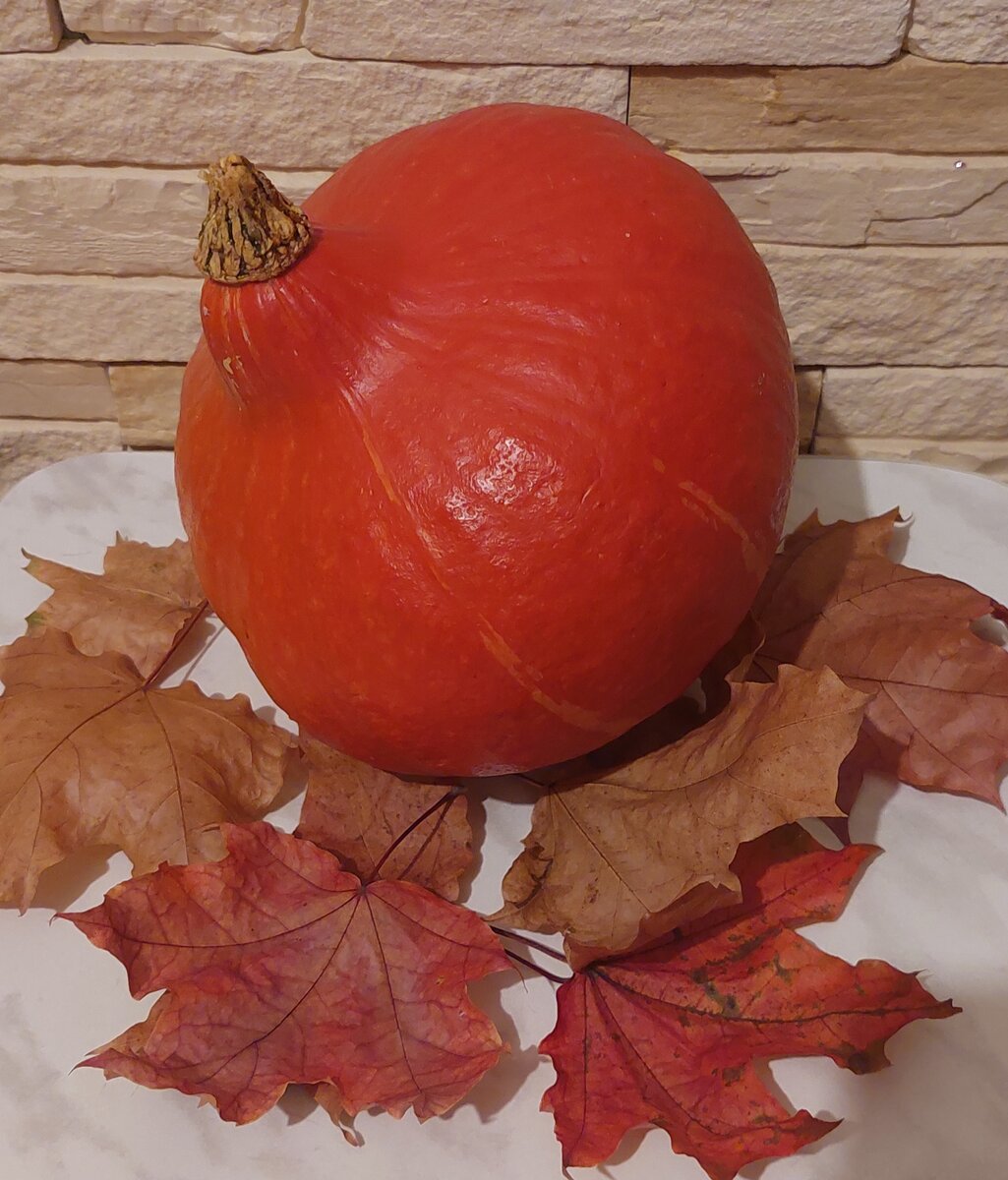 Из этой тыквы буду готовить тыквенный кекс и тыквенный суп. 