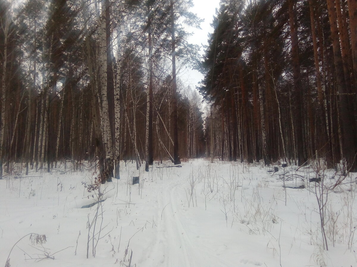 Вид с Восьмерки на дорогу к мосту ЕКАДа.