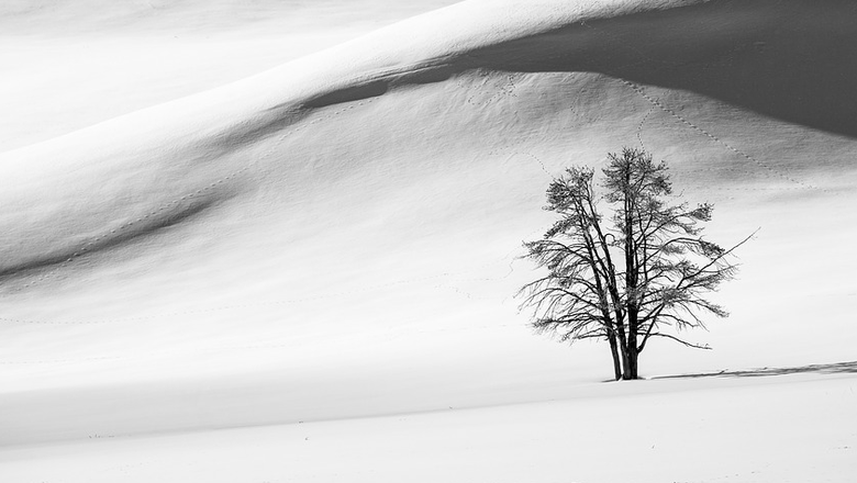  Фото: pixabay.com 