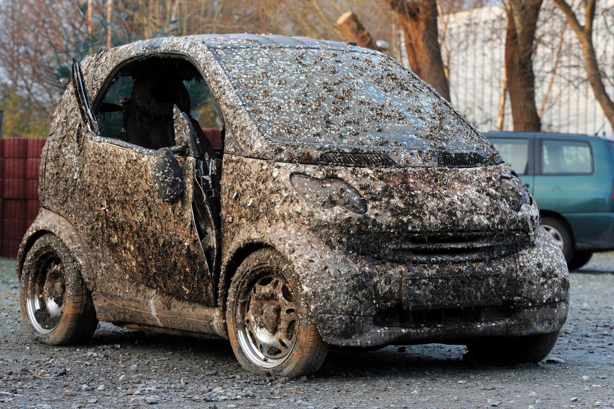 4 признака того, что у вас плохой автомобиль | Donbass-auto | Дзен