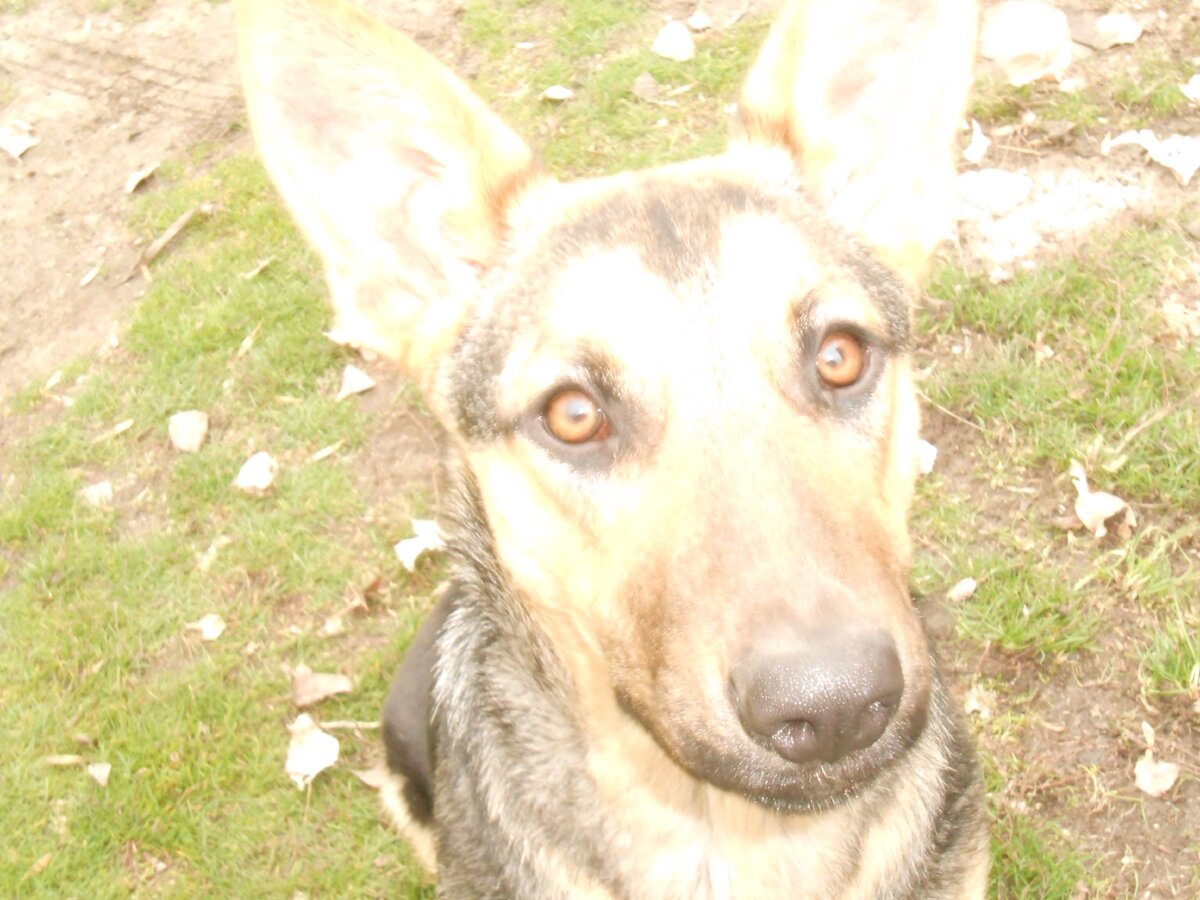 фото из личного архита автора