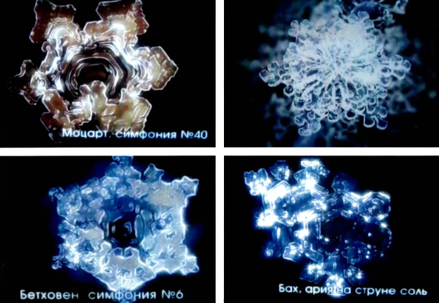 Влияние моцарта на воду. Влияние звука на воду. Структура воды. Оркестр маленькая ночная серенада. Кристаллы воды под микроскопом.