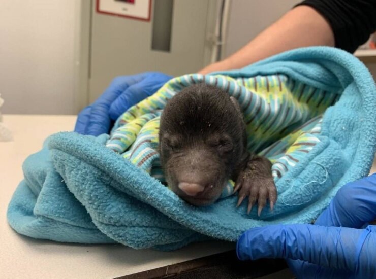 Источник: https://ukr.media