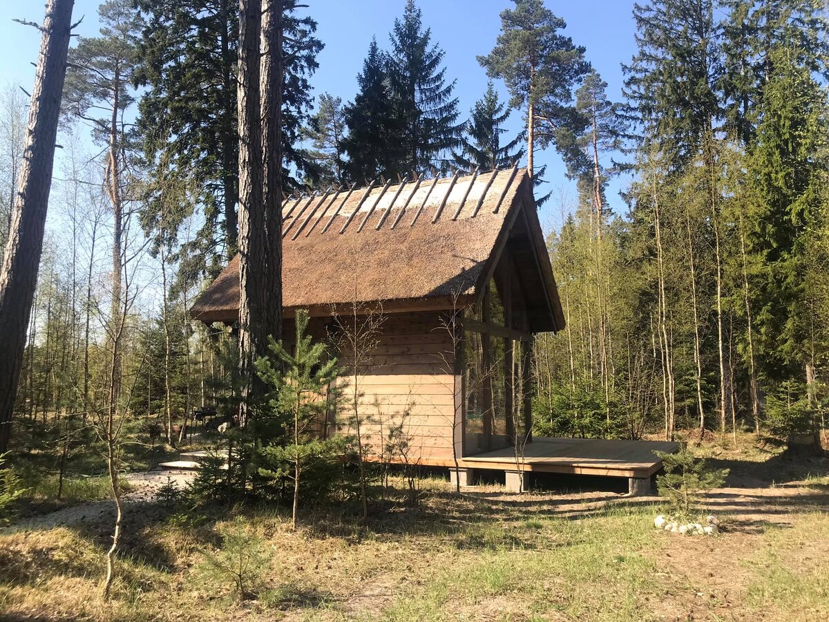 Дом среди леса, построенный своими руками, русскими на острове в Эстонии |  АРТбук Ульяновой | Дзен