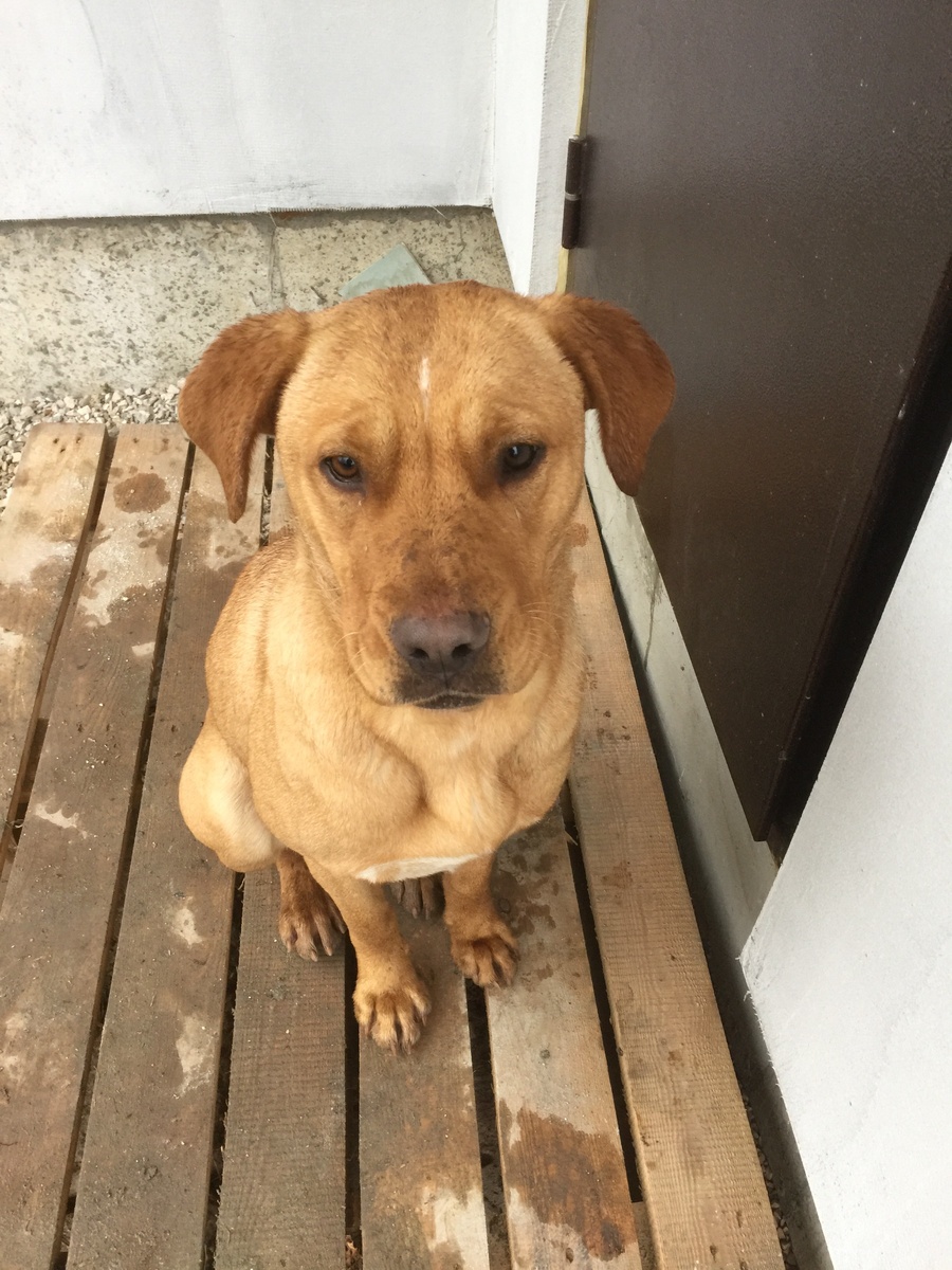 Фото из личного архива.