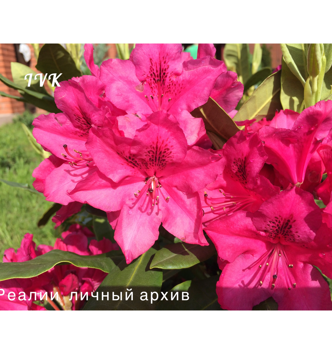фото из личного архива