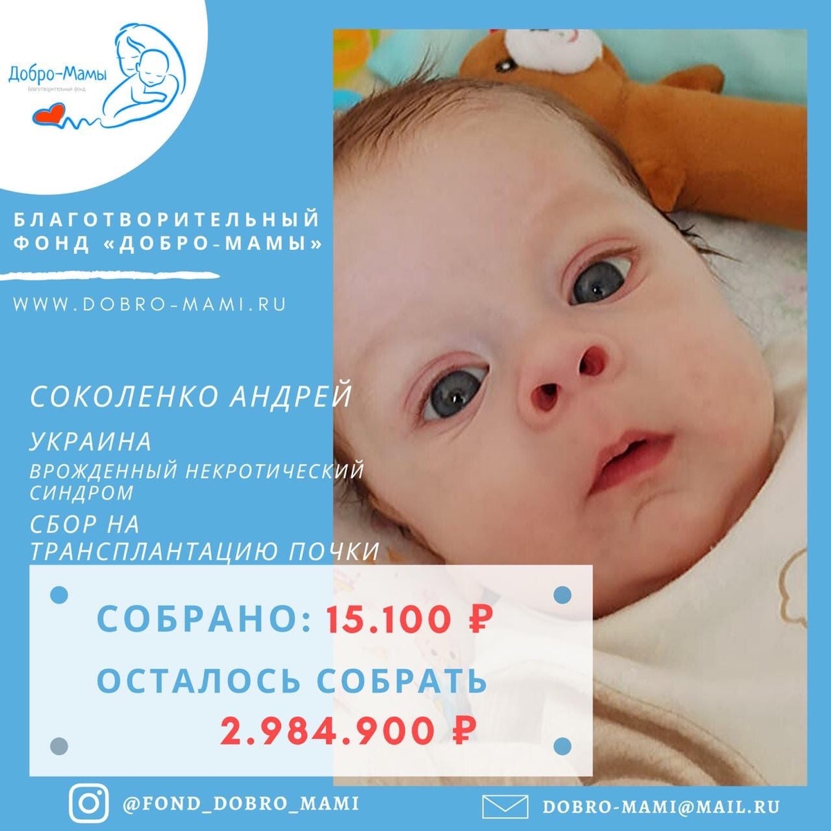 Фото принадлежит автору