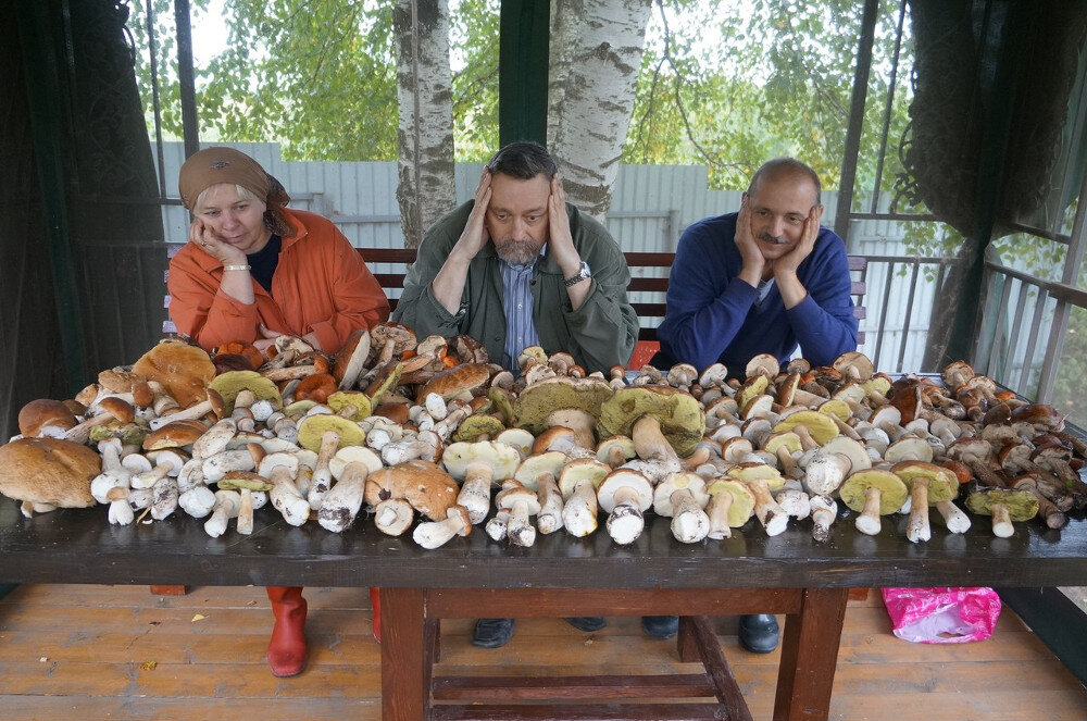 Наши дары