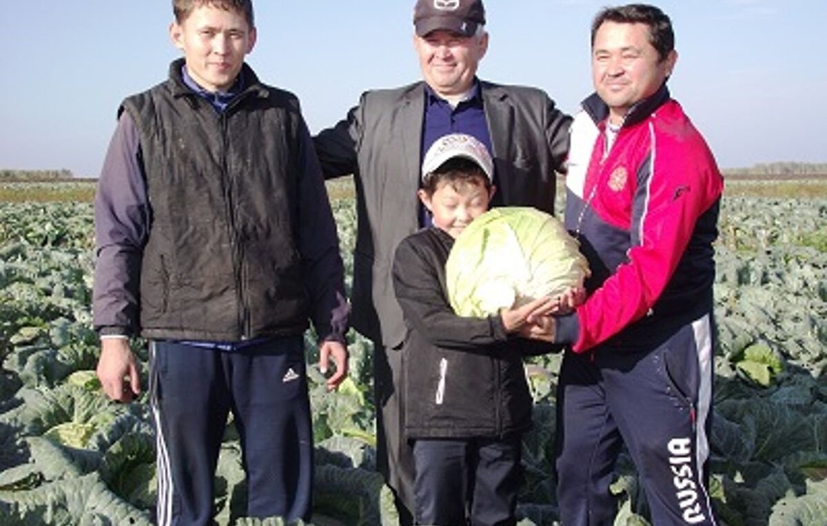 Источник: яндекс картинки