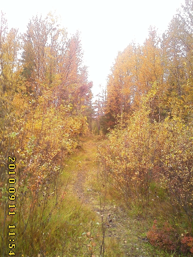 По тропе к Ёлпи