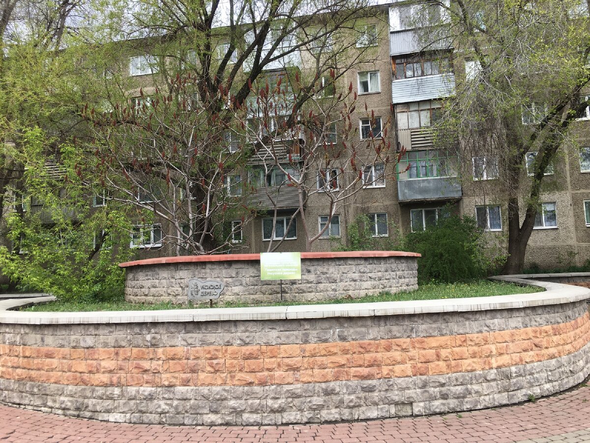 Фото: Анна Демрюкова 