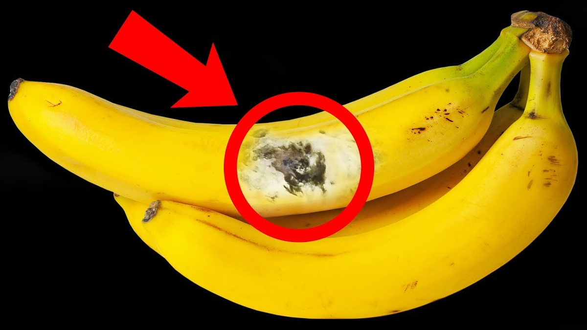 Бананы какой зрелости запрещено выставлять. Бананы Уругвай. Опасный банан. Ядовитые бананы. Бананы свежие.
