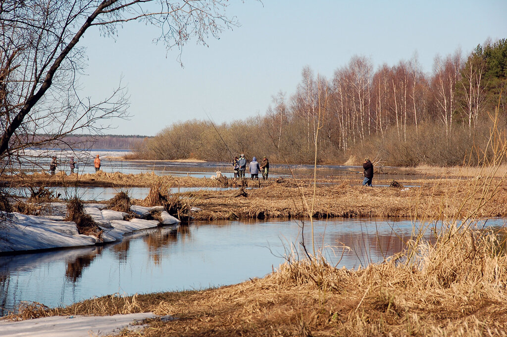 Весенняя рыбалка фото