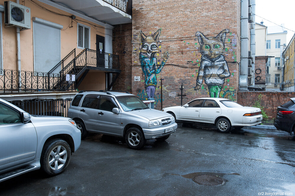Стрит-арт Владивостока  