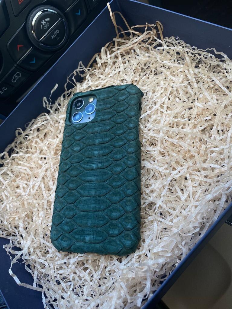 Чехол ручной работы из зелёной, кожи питона для iPhone 11 Pro