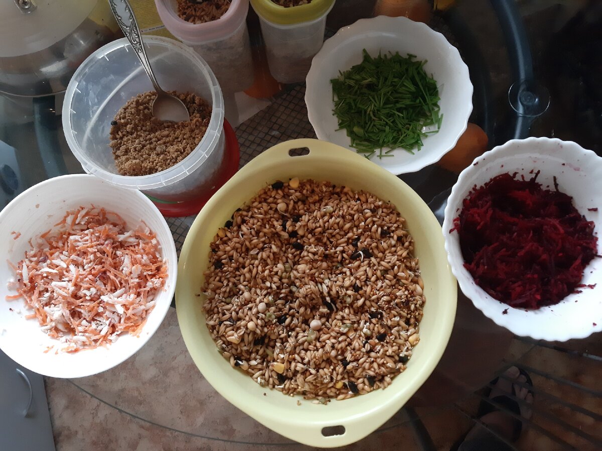 Все компоненты сегодняшнего приема пищи отдельно.