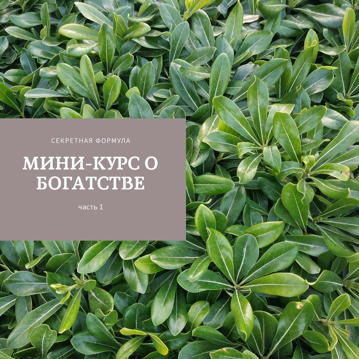 Зелень на кустах - деньги в руках) Любопытно, почему деньги ассоциируются с зеленью? Из-за цвета долларов или есть в этом что-то еще?