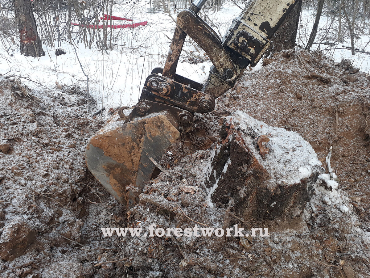 корчевание пня удаленного дерева трактором. 