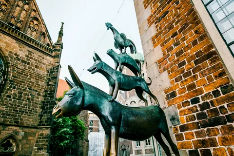 фото из интернета