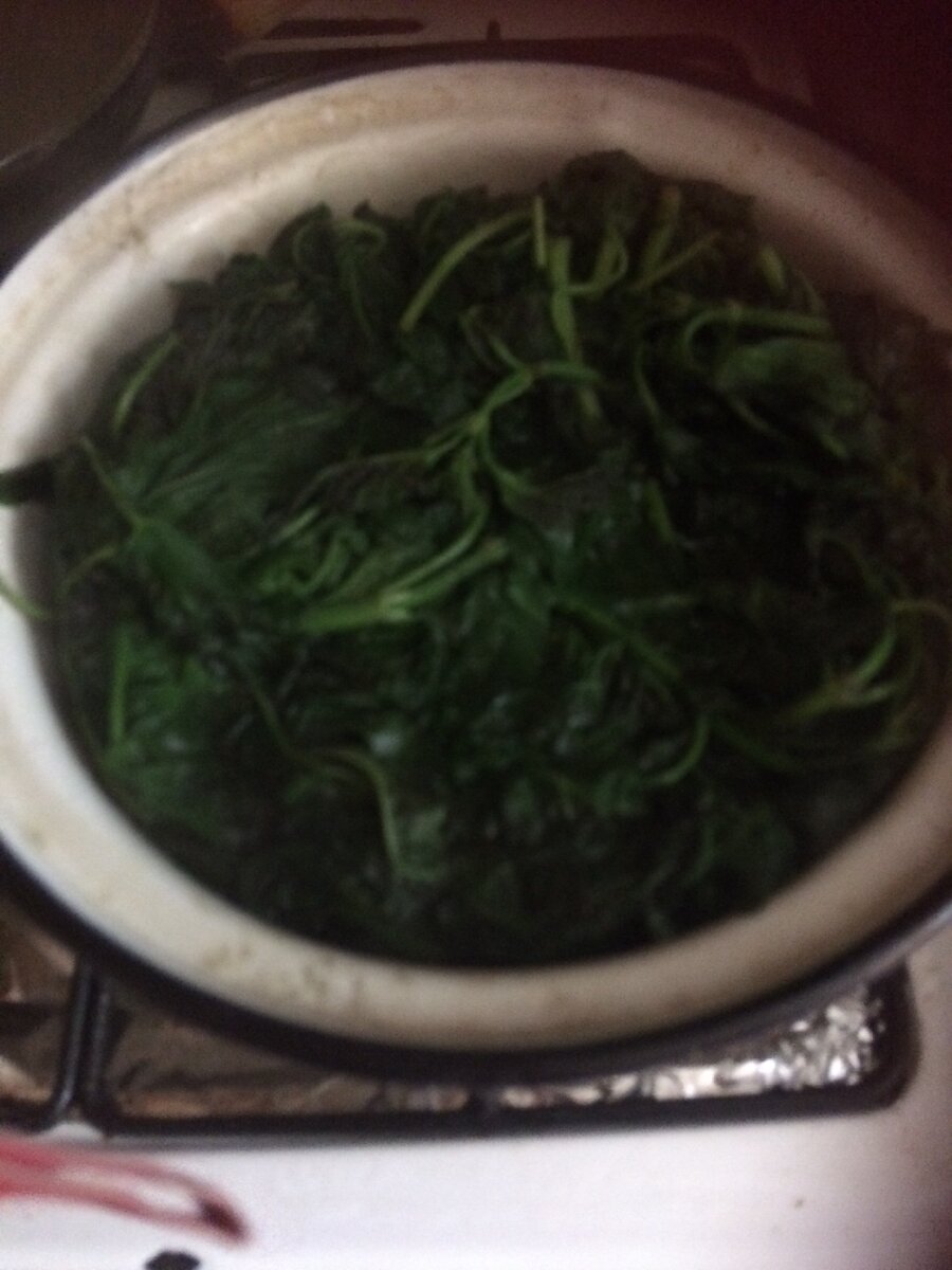 Под ногами у нас растёт источник витаминов.