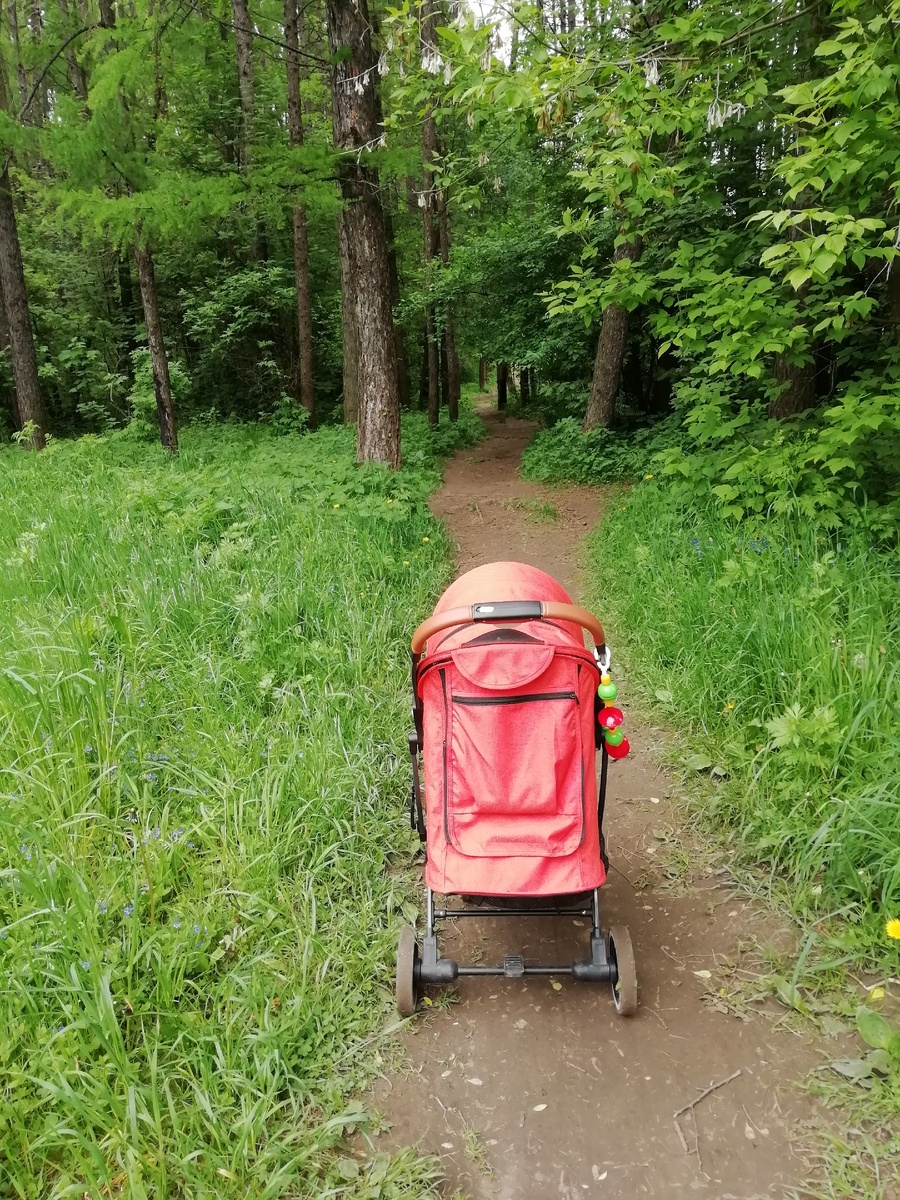 Люблю, когда всё зелёное 🌳