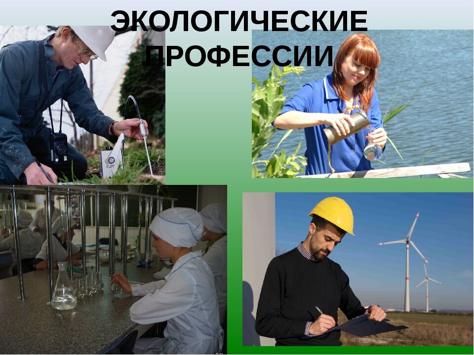 Эколог картинка для детей