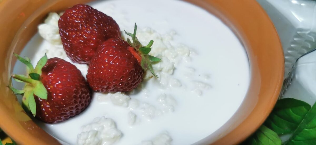 "Сыры Ольги Елисеевой"