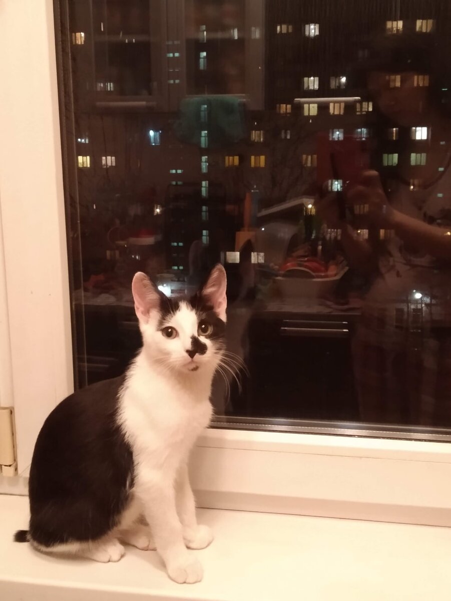 Подрос Марсик.