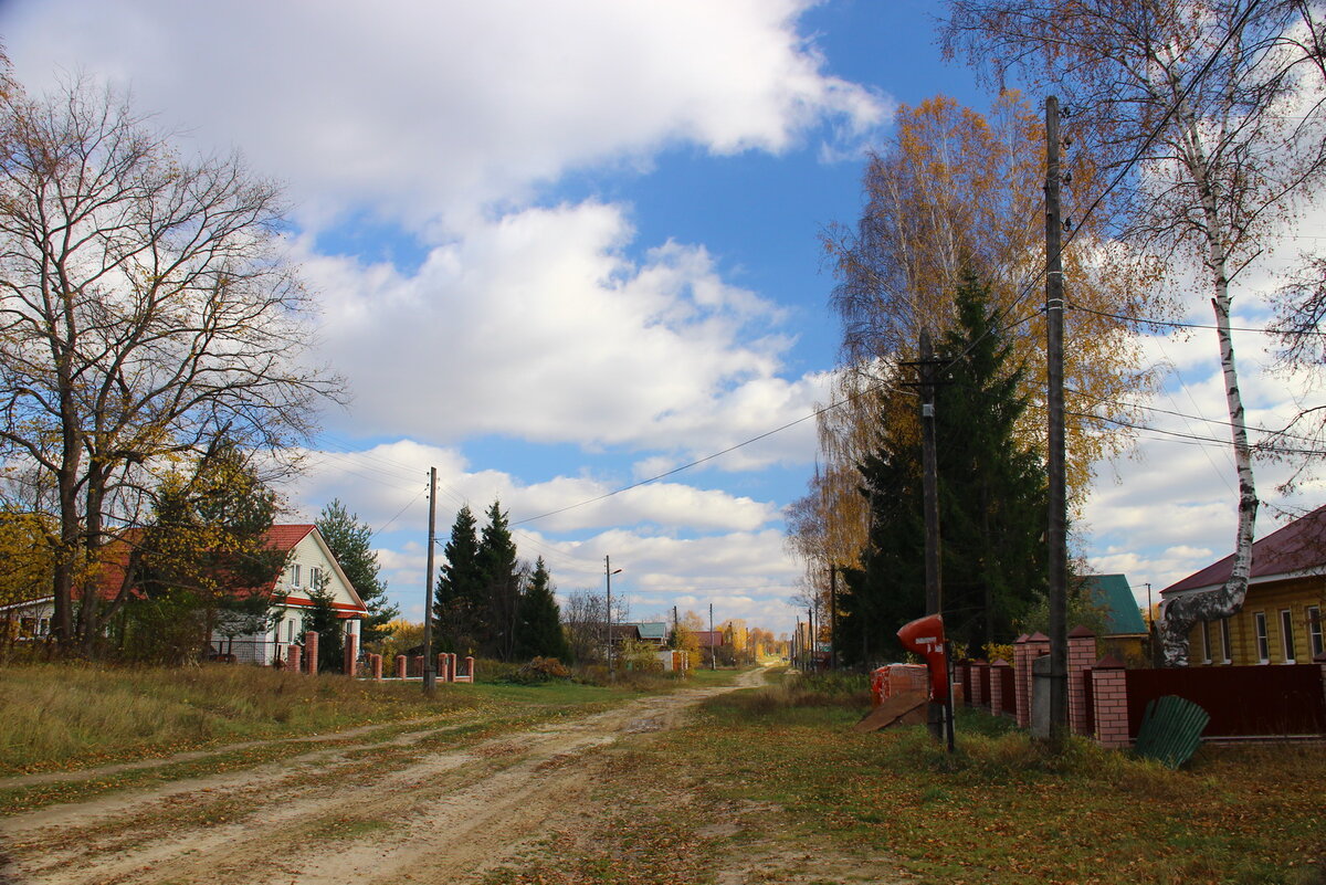 Щепачиха нижегородская область карта