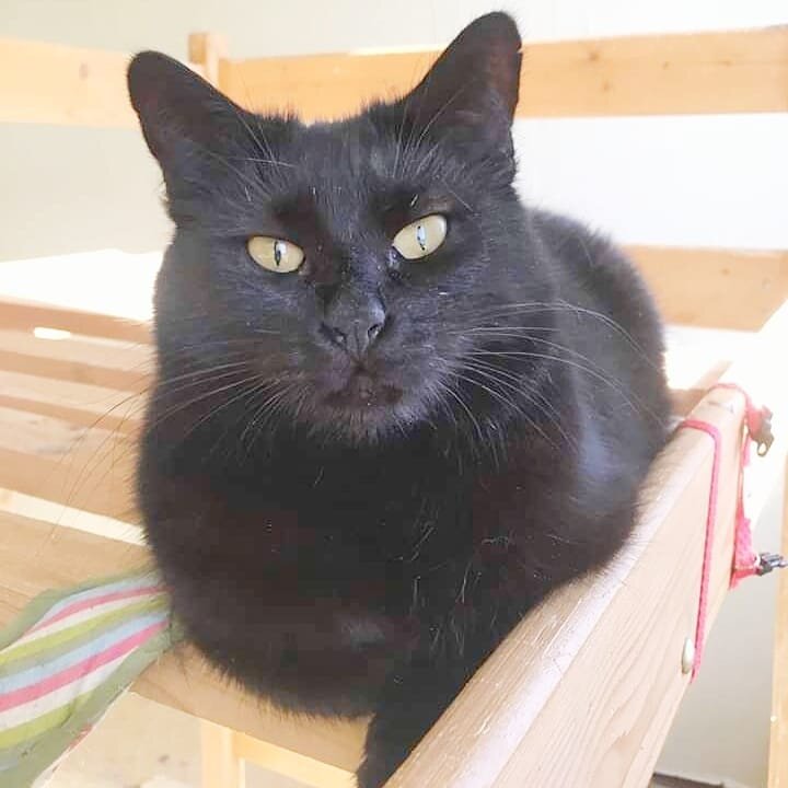 Банни отредактированная.