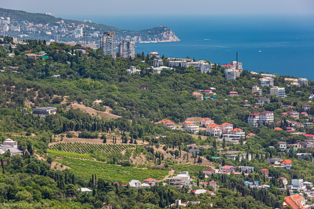 Южное вид. Южный берег Крыма Алупка. Пляж Бертольда Шварца Алупка. Алупка мыс АЙТОДОР. Гулаенко Алупка.