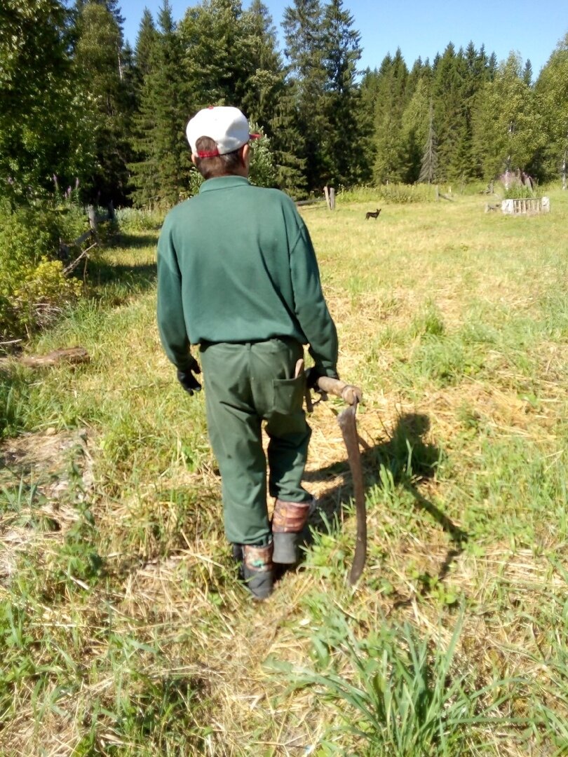  Фото: Территория передышки
