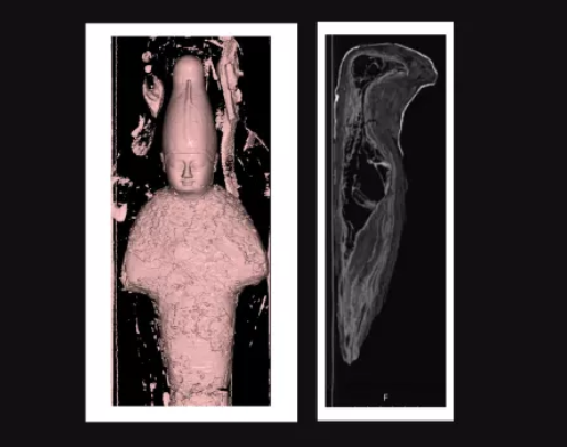 КТ сканирование маленькой мумии Осириса, показало наличие останков хищной птицы, принадлежащей Фараону фото с ресурса https://www.livescience.com/ и Яндекс-картинкиФорма