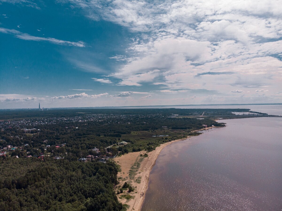 Тарховский лесопарк