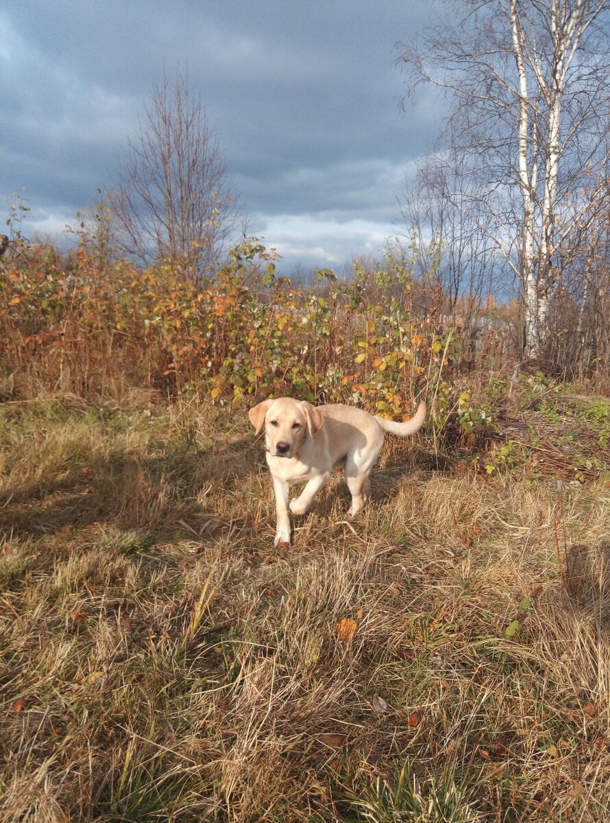 Фото автора