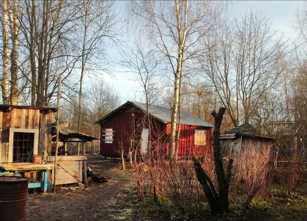 Наша летняя кухня 