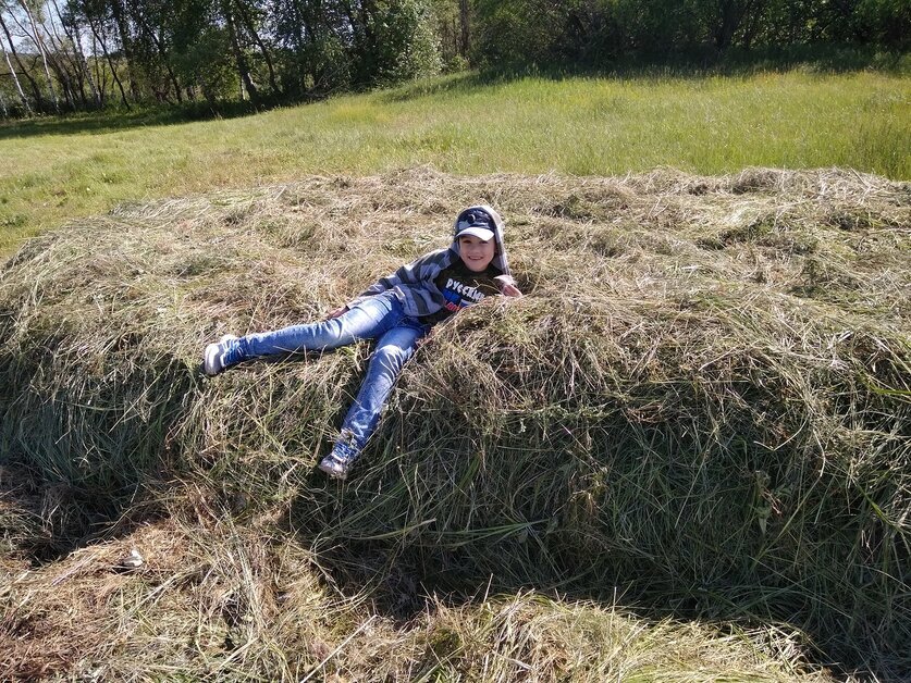 Показал сыну сеновал, теперь думаю, надо и в кемпинге заготовку сделать