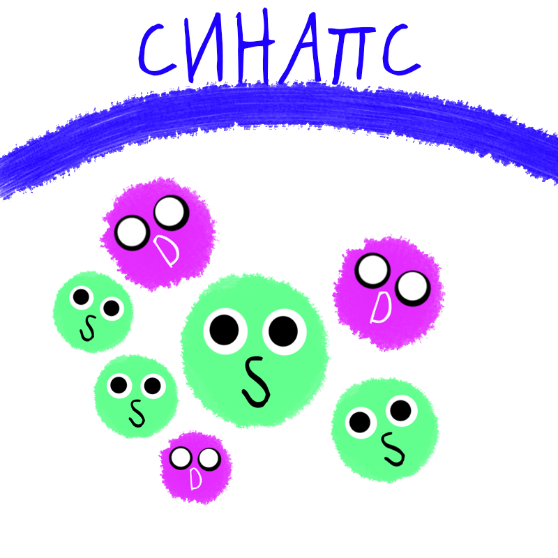 Серотонин и дофамин даже не догадываются, что к ним пришел великий освободитель...