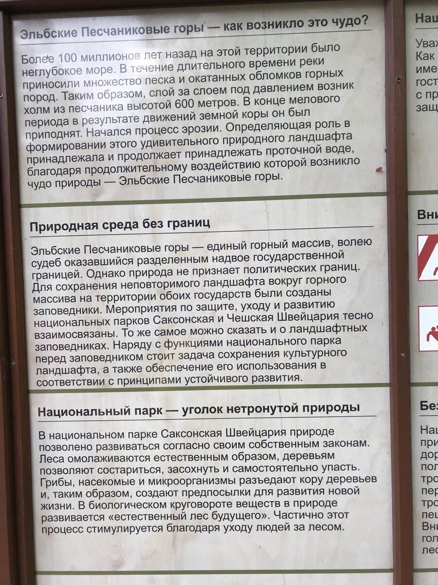 песчаники