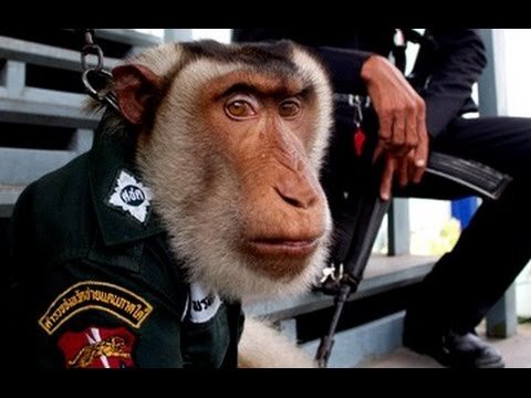 Страница 16 - Архив новостей за 06.04.2010 - РИА Новости