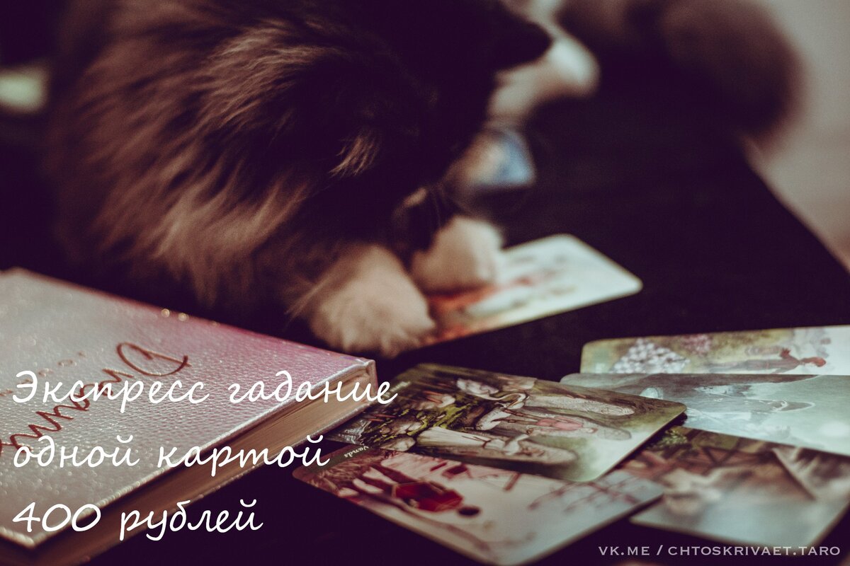 мой помощник