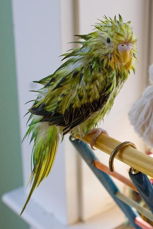 Взято из свободных источников Яндекса