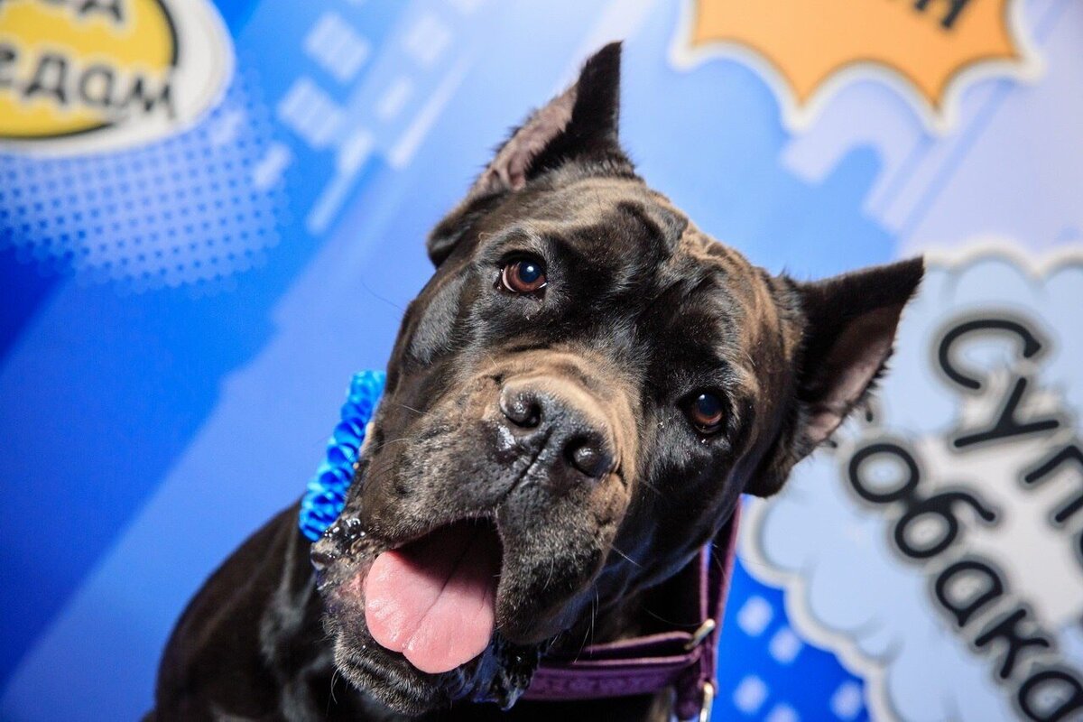 Герда  просто очаровательна!