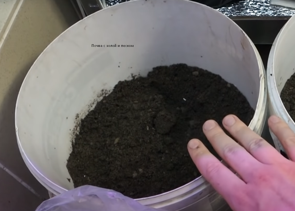 Почва уже с золой и песком