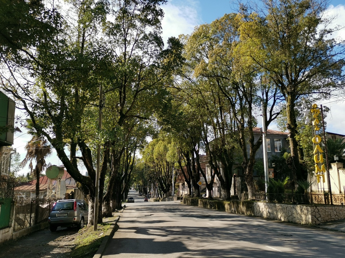 Улица Гулиа.