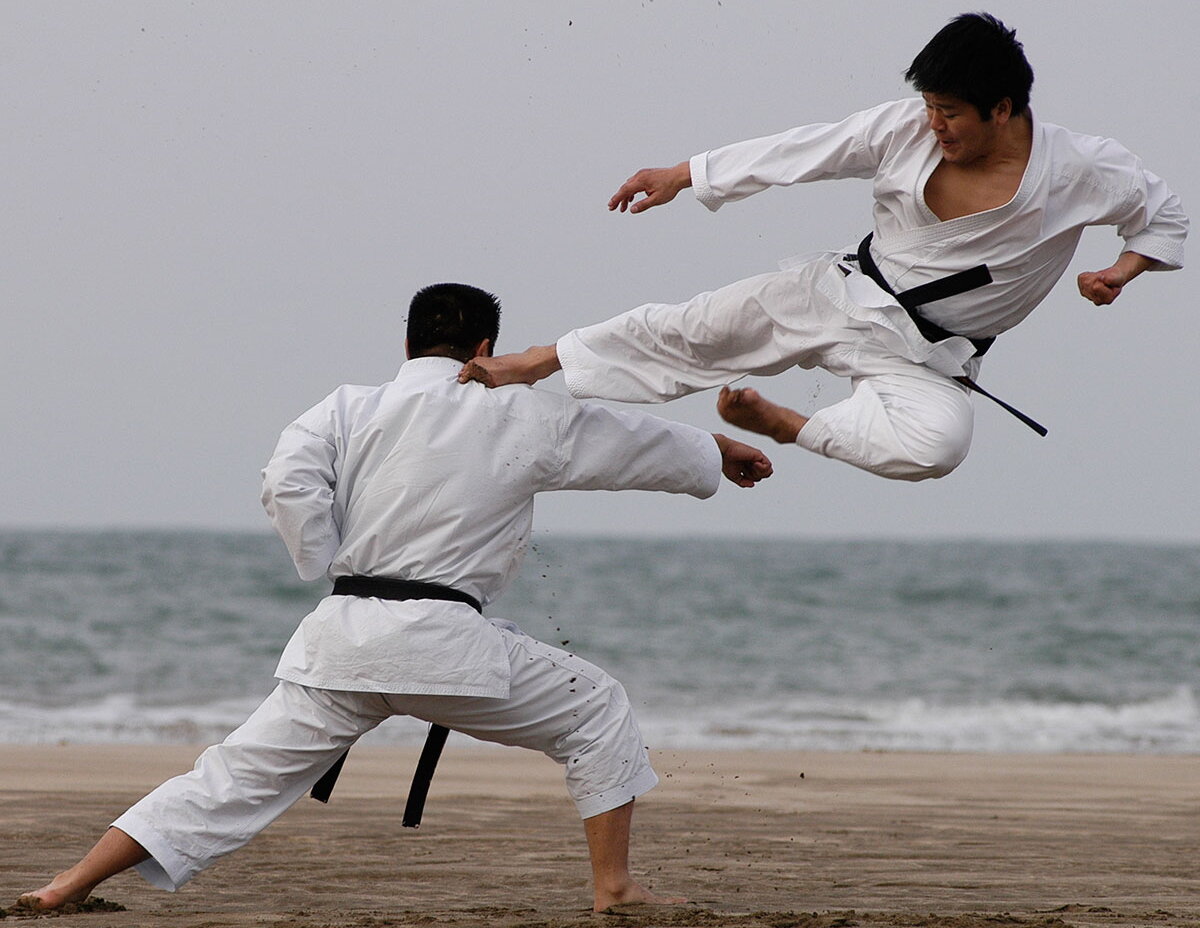 Каратэ-до Шотокан 空手松濤館