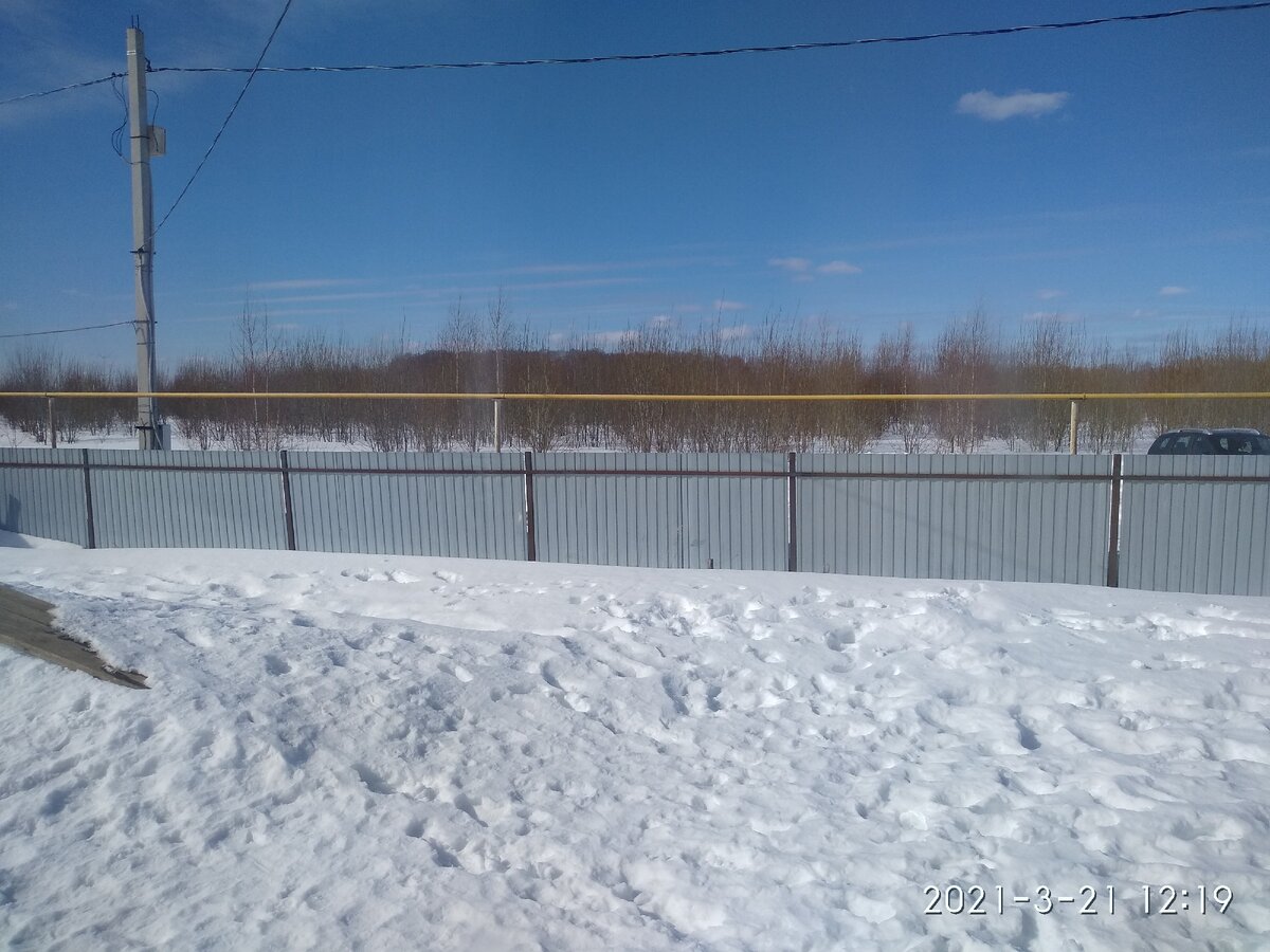 Поздняя весна 21.03.2021