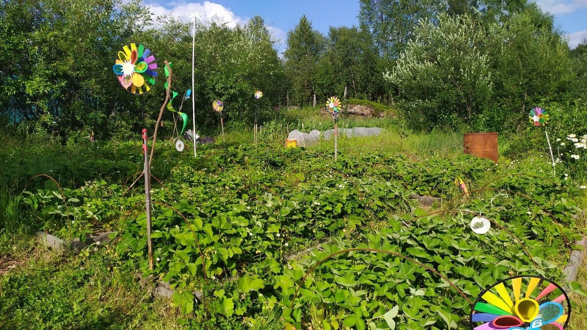 Фото Ольги Алексеенко