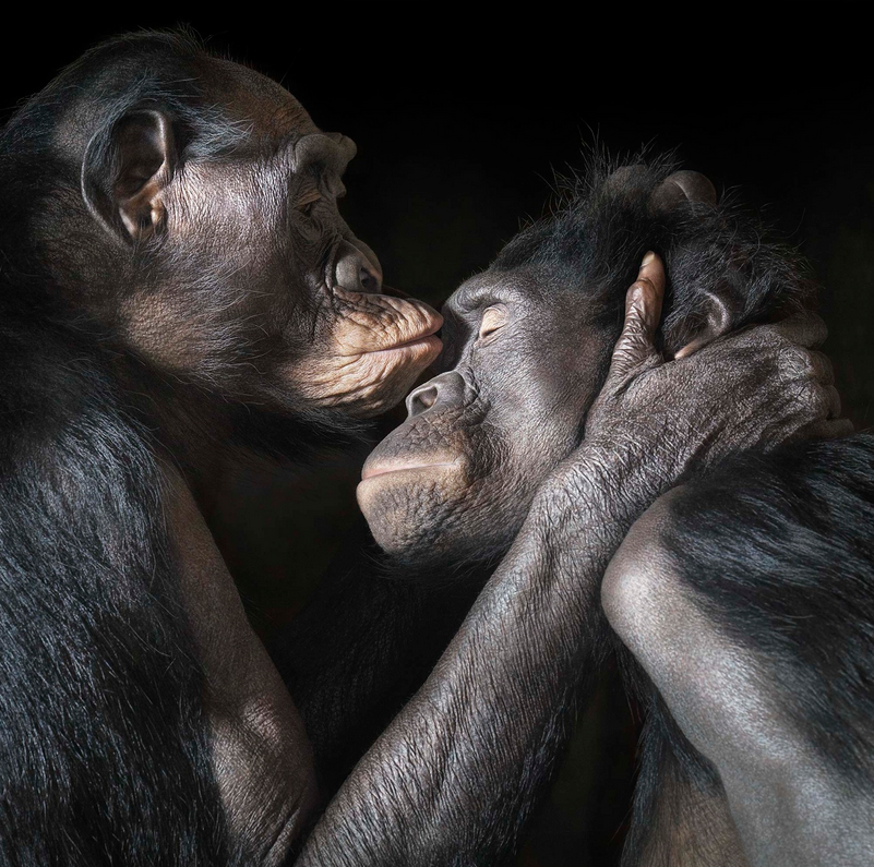 Источник: timflach.com